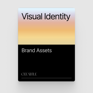 Visual Identity (Project Brief)