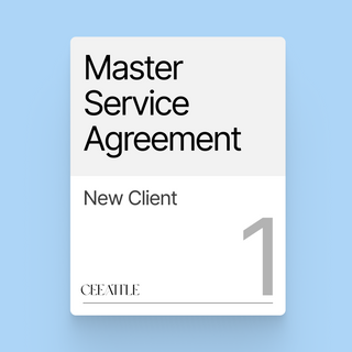 Master Service Agreement (MSA)