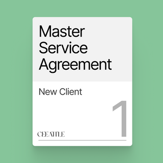 Master Service Agreement (MSA)