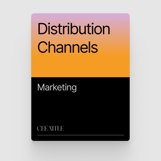 Distribution Channels (Project Brief)