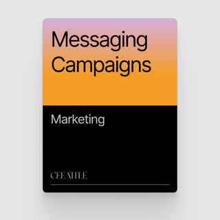 Messaging Campaigns (Project Brief)