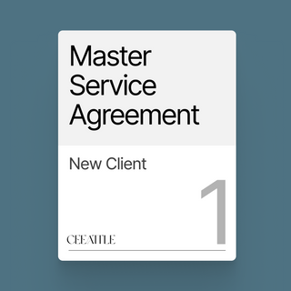 Master Service Agreement (MSA)