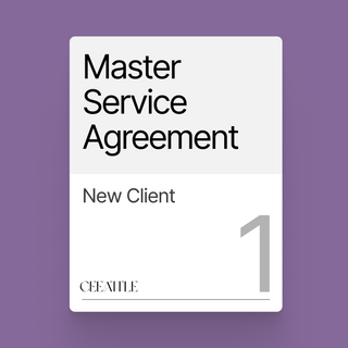 Master Service Agreement (MSA)