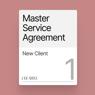 Master Service Agreement (MSA)