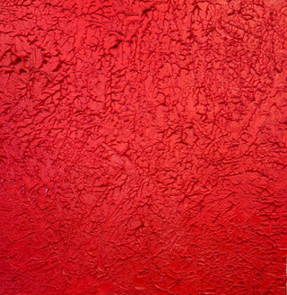 Vascular (2023)