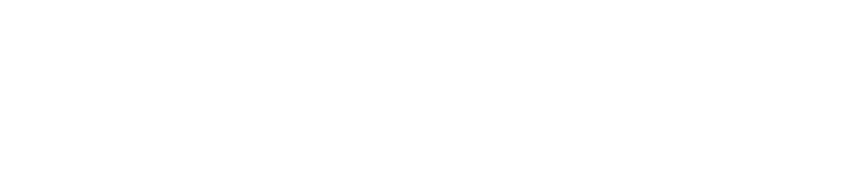 SailPoint